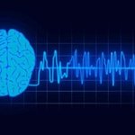 [수면] 신기한 뇌파