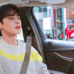 내 최애가 운전하면 환장하는 <b>덕심</b>