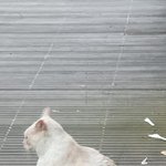 나처럼 본진 많은애 있냐