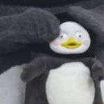 [댓글부탁해] <b>like</b>