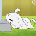 [댓글부탁해] 이거 ㄹㅇ 나이 먹은 거 실감