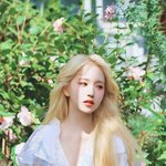 진짜 <b>우아</b>하게 예쁜듯