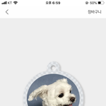 고모한테 <b>키링</b> 선물할라하는데 ㄱㅊ?