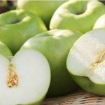 [댓글부탁해] 좀비<b>사태</b>에서 살아남는 삶 ㅈㄴ재밌겠음中
