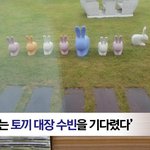 <b>토끼</b>에 진심인 소속사와 아이돌