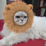 [댓글부탁해] 인생곡 하나씩 적고 가자!!!!