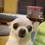 [드루와] 미자한테 <b>찝적</b>거린 남돌 펑해줄사람