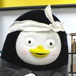 [댓글부탁해] 이거 동물<b>학대</b>다 추반 ㄱㄱ