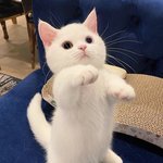 너희도 다리 쭉 <b>피고</b> 있으면 불편해??