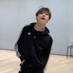 건방진 <b>햄스터</b>