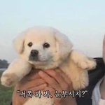 짝남 입장에서 나 어떨거같니