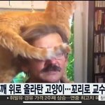 [ㅈㄱㄴ] 와 너네 이거 알았냐
