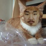 ㅅㅂ 하다하다 김종대 빌런까지 <b>오네</b>