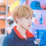 황인준 금발해