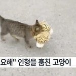 얘들아 여드름 짤때