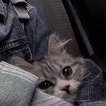 [19] ㅅㅂ 내가 중1때부터 판을 시작했는데