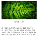 [NCT] 박지성 <b>탄생</b>화 꽃말