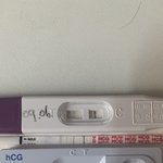 임신 6주 초음파
