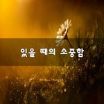 [이것좀봐줘] 있을 때의 소중함~