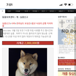[이것좀봐줘] (급함) 잃어버린 개 개농장에서 찾으신분 계실까요