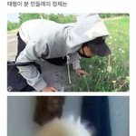[드루와] 새삼 방탄 ㅈㄴ 대단하다;;