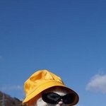 여자중에 <b>bl</b> 안보는애 있음??