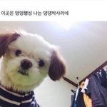 [댓글부탁해] 자잘한 간식거리 추천해주라 !!