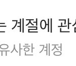 인스타 팔로우하는 계정과 <b>유사</b>한 계정이 뭐야?