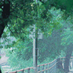 [<b>악의</b>꽃]에서 너무 예뻤던 빗 속 데이트 장면