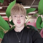 [댓글부탁해] 너네 유튜버 하얀<b>트리</b> 앎??