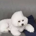 [드루와] 진짜 먹은거 개후회됨