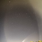 [드루와] 근데 코로나 진짜 <b>모순적</b>이당 ㅋㅋㅋㅋ