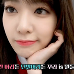 <b>사쿠</b>라는 장발이 훨씬 낫다