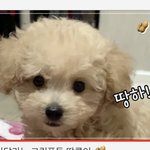 [드루와] <b>썸네일</b> 만들 때 의견좀..
