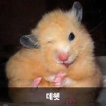 얘들아 성인이 <b>미자</b>한테 마음 가지는거 비정상이지?