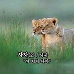 위버스 <b>계정</b> 여러개인 사람 있음?