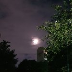 [댓글부탁해] 체육관이나 <b>도장</b>에서 설렜던 썰 풀어보자!!