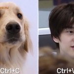 사진 주웠는데 이름뭐임ㅠㅠ