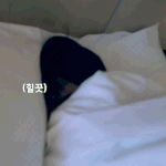 [NCT] 타팬인디 또 물어봐도될런지