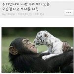 맞아 일기 쓰면 진짜 행복함
