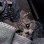 [19] 근데 지금 판 <b>동접</b>인구 몇명일까?