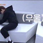 아이랜드 보는애들아