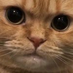 [이것좀봐줘] 내 옆모습 쌍꺼풀 만든게 낫지않냐