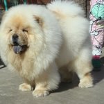 [드루와] ㅆㅂ 우리아빠 이시국에 <b>벌초</b>하러감