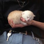 아니 나만 <b>민초</b>