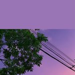 나 조울증인가?