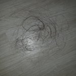 <b>탈모x</b>) 머리 빗고 빠진 머리카락 ㅋㅋㅋㅋㅋㅋㅋ