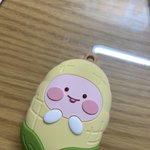 <b>버즈</b>케이스 왔다