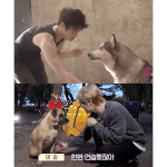 [김재중] 멍멍이랑 <b>악수</b>