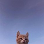 [댓글부탁해] 얘들아 <b>HELP</b>